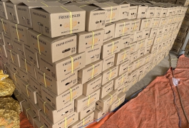 Gừng xuất khẩu