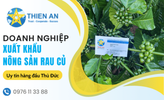 Doanh nghiệp xuất khẩu nông sản rau củ chuyên nghiệp hàng đầu Thủ Đức
