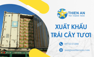 Đơn vị xuất khẩu trái cây tươi đi nước ngoài uy tín