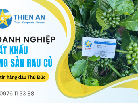 Doanh nghiệp xuất khẩu nông sản rau củ chuyên nghiệp hàng đầu Thủ Đức