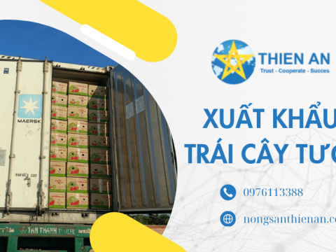 Đơn vị xuất khẩu trái cây tươi đi nước ngoài uy tín