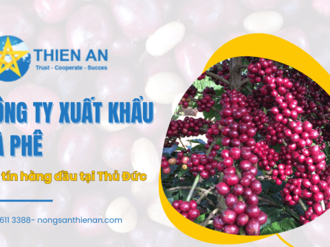 Thiên Ân – Công ty xuất khẩu cà phê uy tín hàng đầu tại TP.HCM