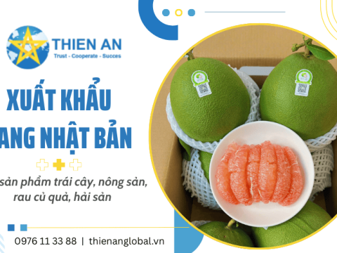 Thiên Ân Global đang hướng tới xuất khẩu sang thị trường Nhật Bản