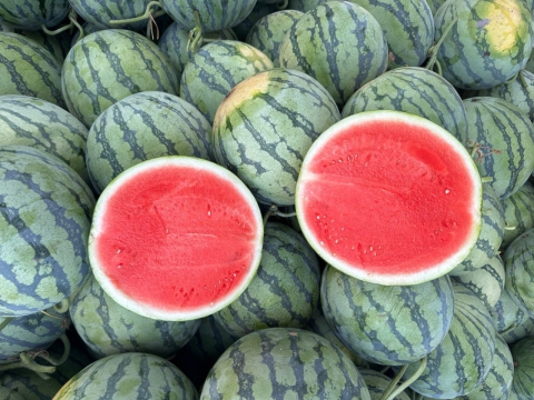 Dưa hấu