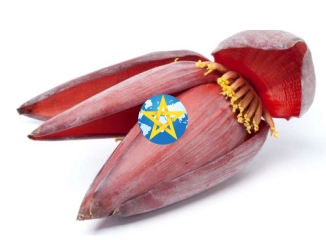 Bắp Chuối ( Hoa Chuối ) 